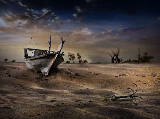 Desert Photography