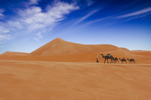 Desert Photography