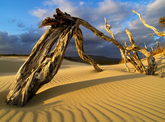Desert Photography