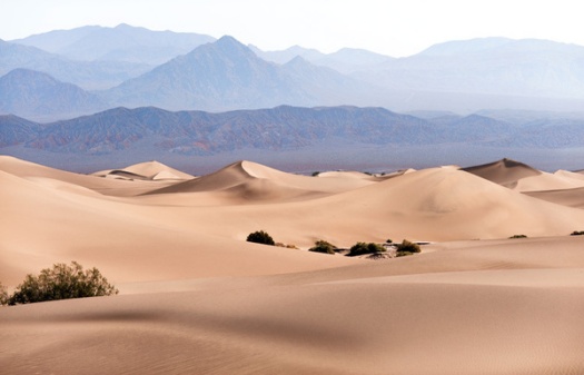 Desert Photography