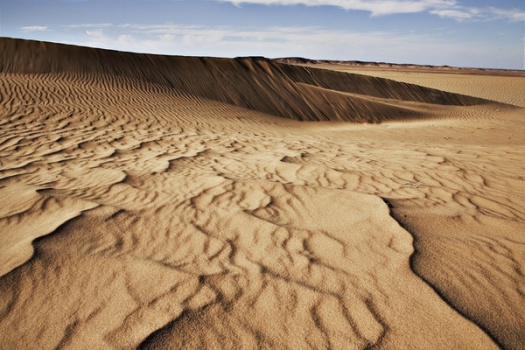 Desert Photography