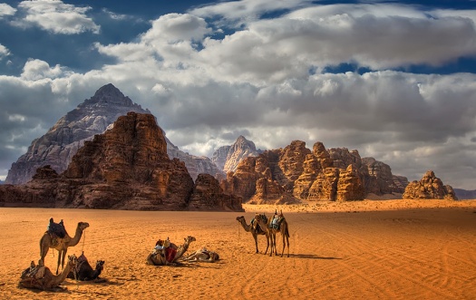 Desert Photography