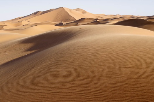 Desert Photography