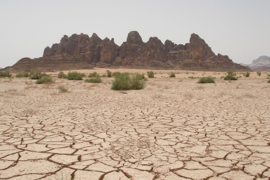 Desert Photography