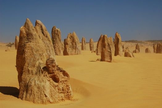 Desert Photography