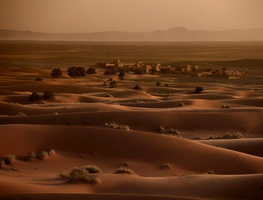 Desert Photography
