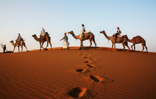 Desert Photography