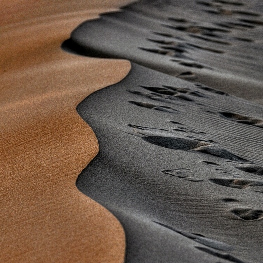 Desert Photography