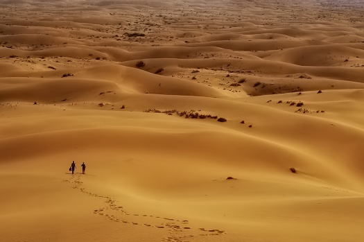 Desert Photography