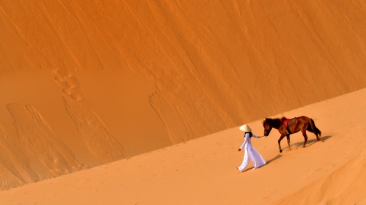 Desert Photography