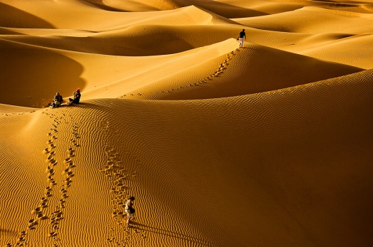 Desert Photography
