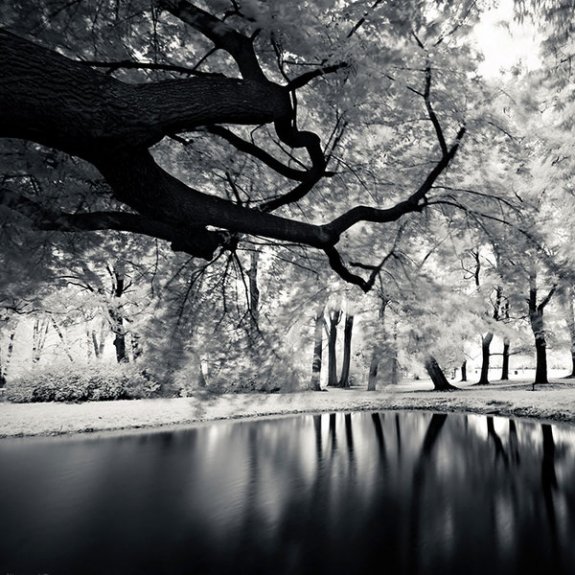 Infrared Photography