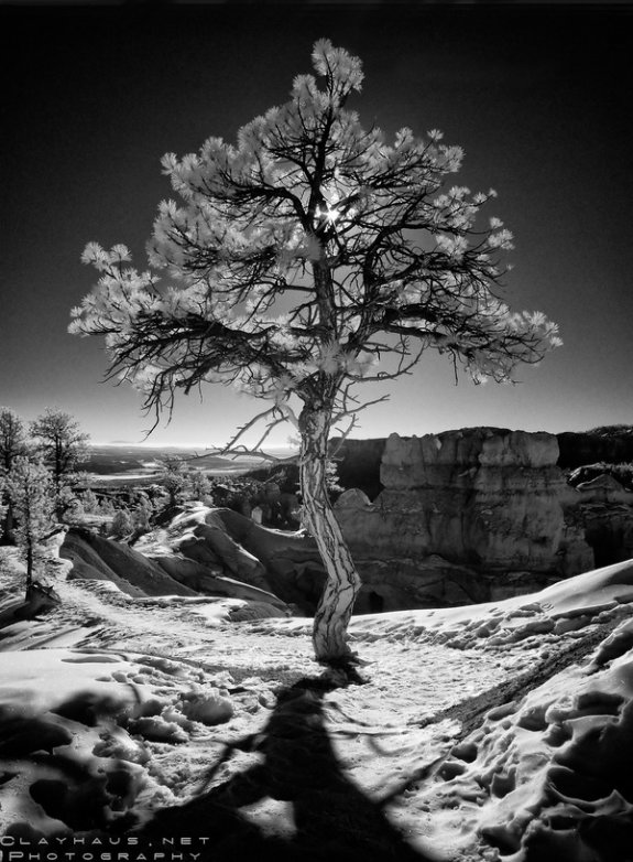 Infrared Photography