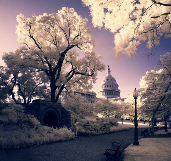 Infrared Photography