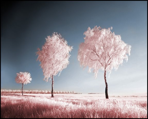 Infrared Photography