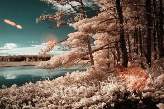 Infrared Photography