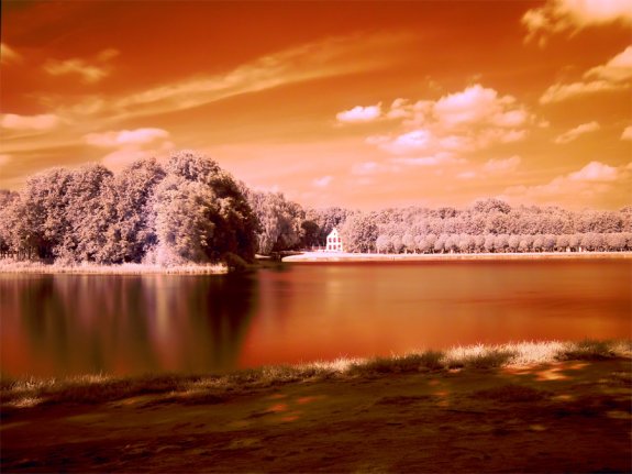 Infrared Photography