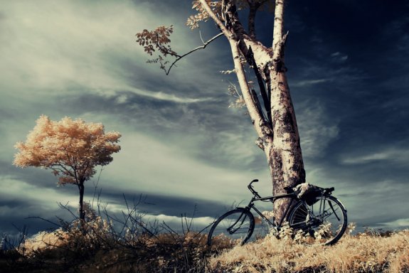 Infrared Photography