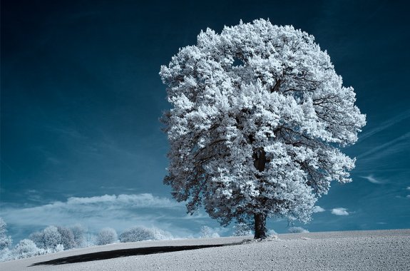 Infrared Photography