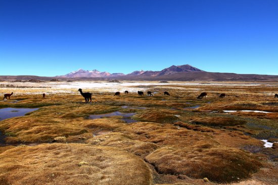 Landscape Photography