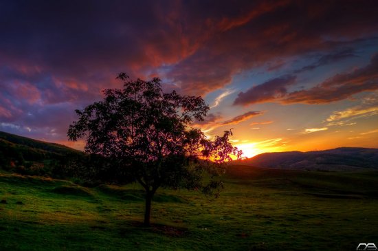 Landscape Photography