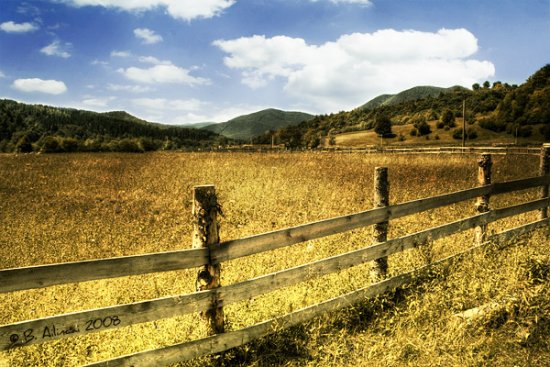 Landscape Photography