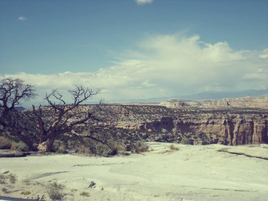 Landscape Photography