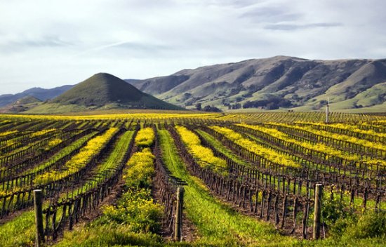 Landscape Photography