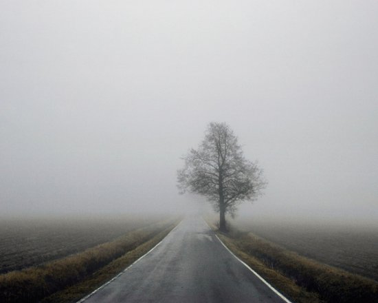 Landscape Photography
