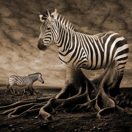 photo manipulation