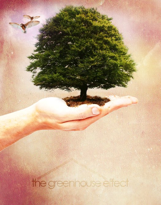 Create a Nature-Inspired Photo Manipulation in Photoshop