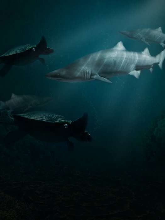 Create an Eerie Underwater Composition in Photoshop