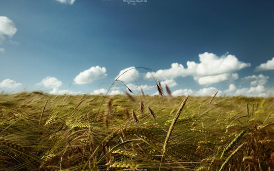 web_design_wallpaper web_design_wallpaper