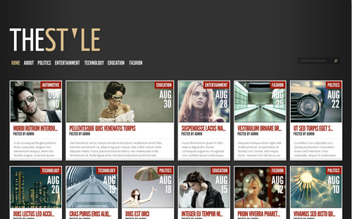 TheStyle WordPress Theme TheStyle WordPress Theme
