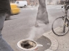 ny1