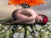 nature_by_sommerphotography