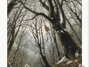 pin-21_robertoinnocenti