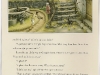 pinocchio102