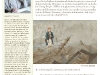 roberto_innocenti
