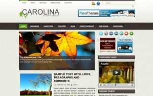 10 Najboljih WordPress Tema Besplatno! I Deo