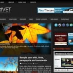 New-WP-Themes1