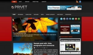 10 Najboljih WordPress Tema Besplatno! II Deo
