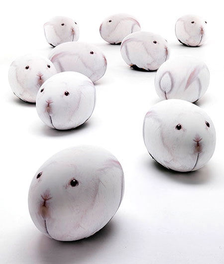 rabbit-eggs