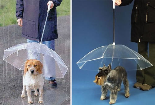 creative-umbrellas-14