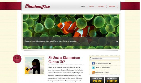 Titaniumifize