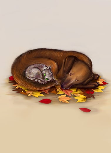 cozy november illustration
