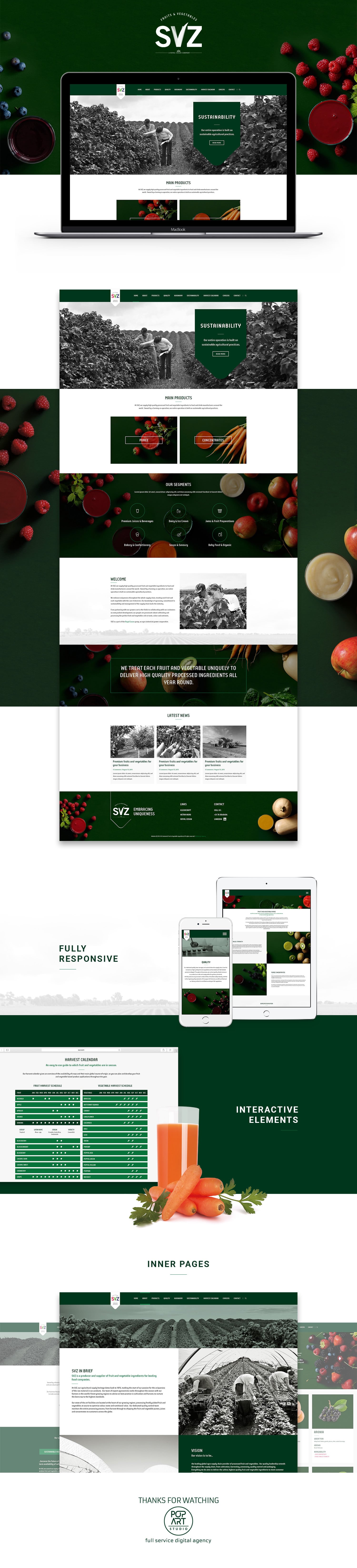 Website design and development SVZ