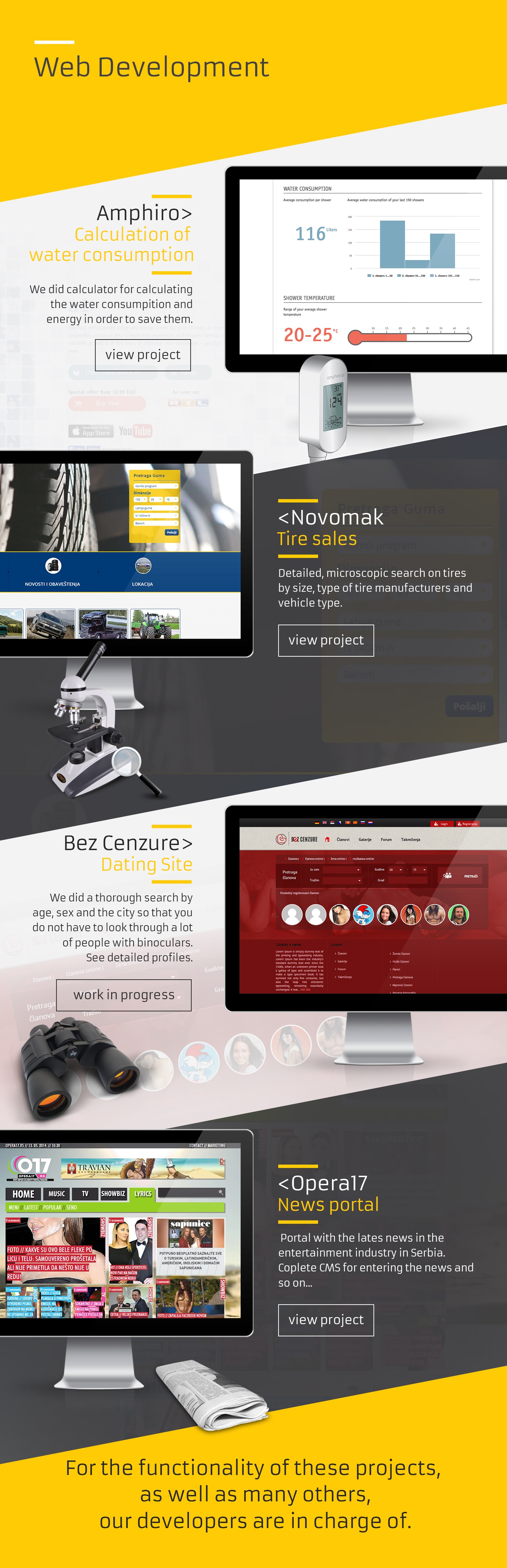 web development projects portfolio