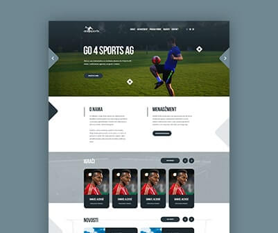 go4sports web design