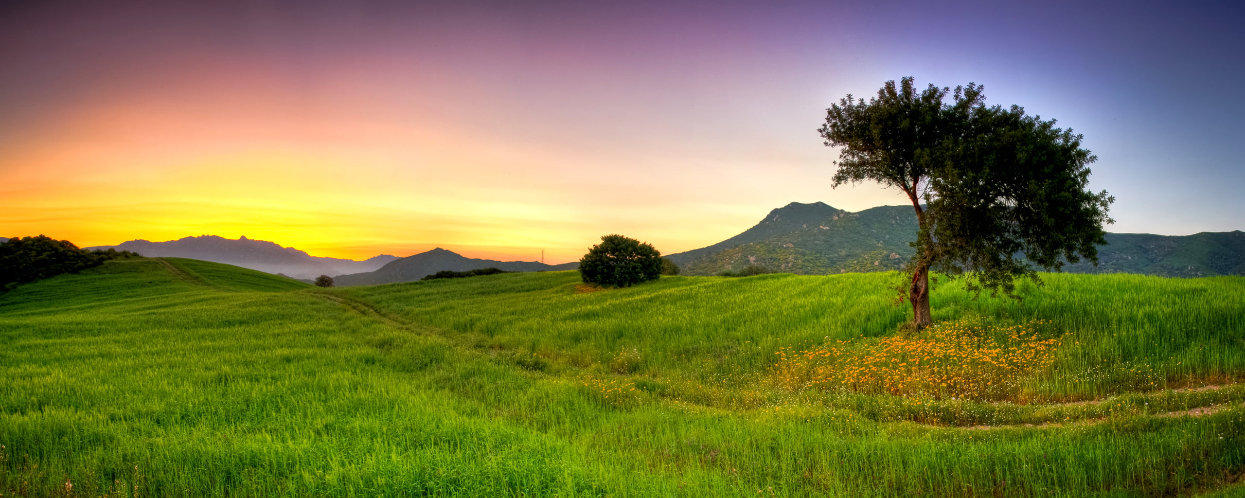 Amazing Dual Screen Wallpapers